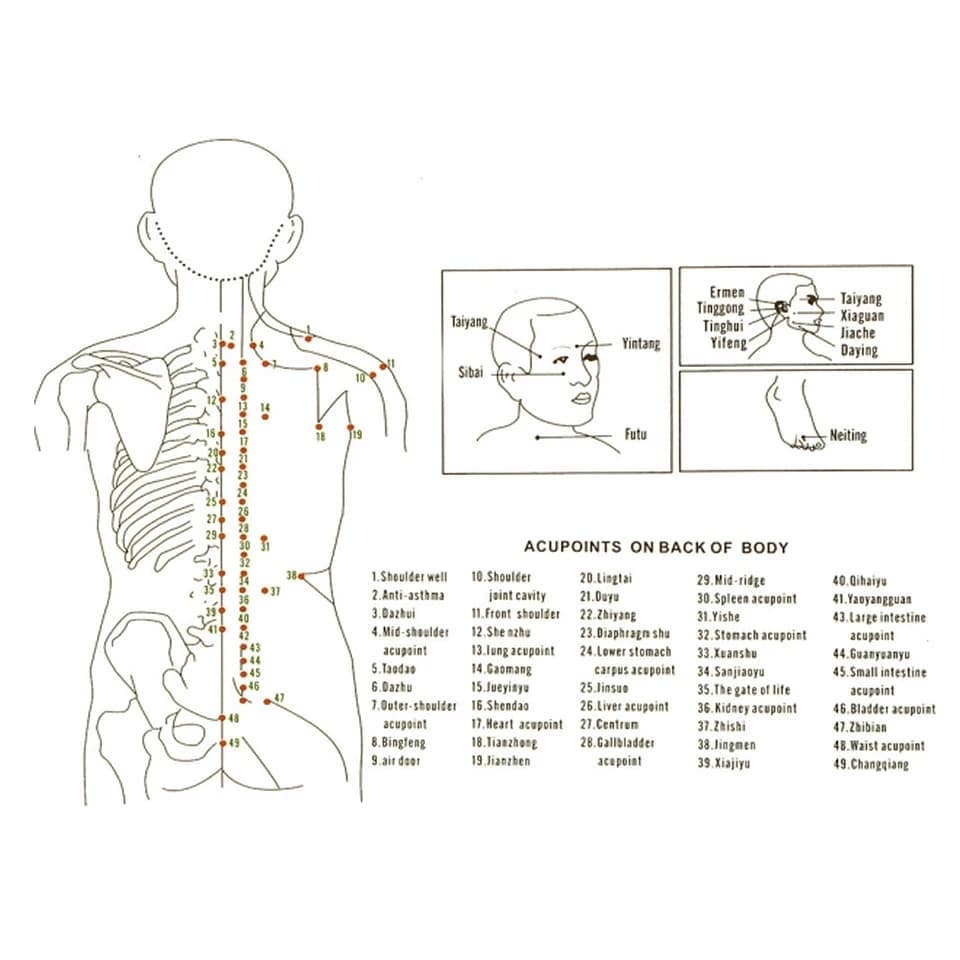 Kupa Masazhi - Figura 16