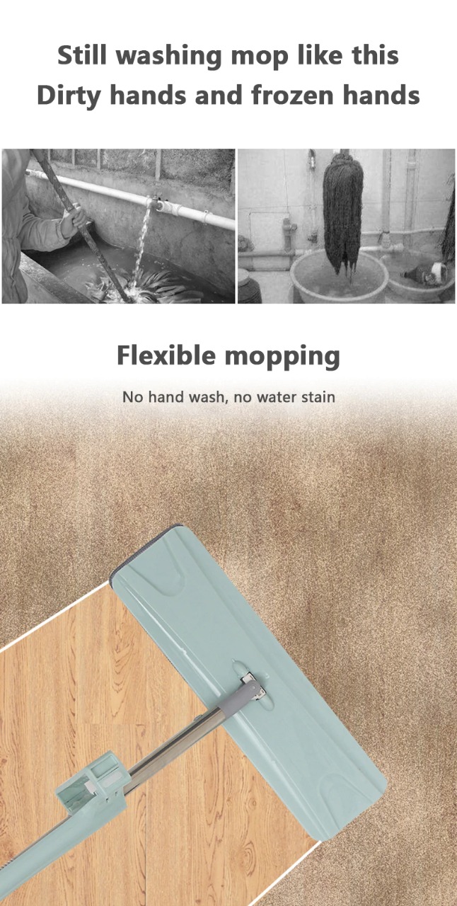 Lecke pastrimi - Figura 6